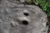 dsc_0719_fs_small.jpg