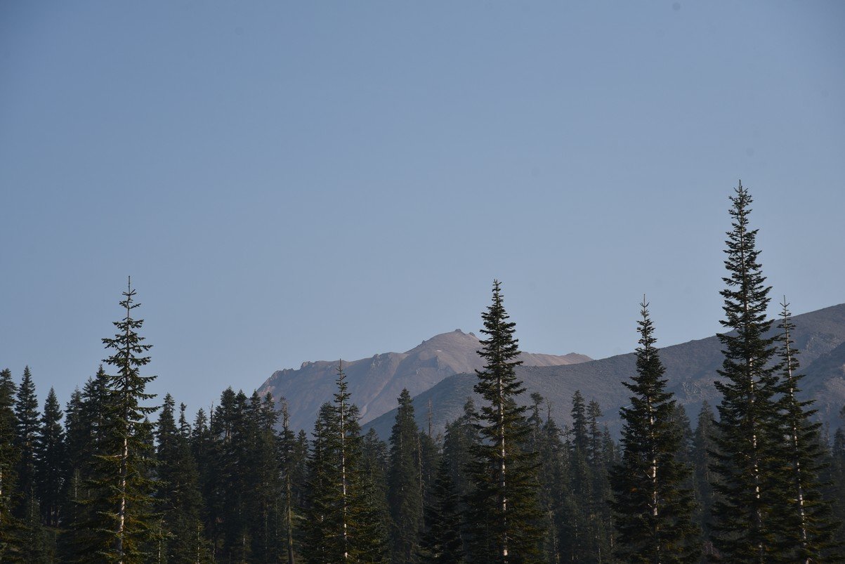 dsc_6823_fs.jpg