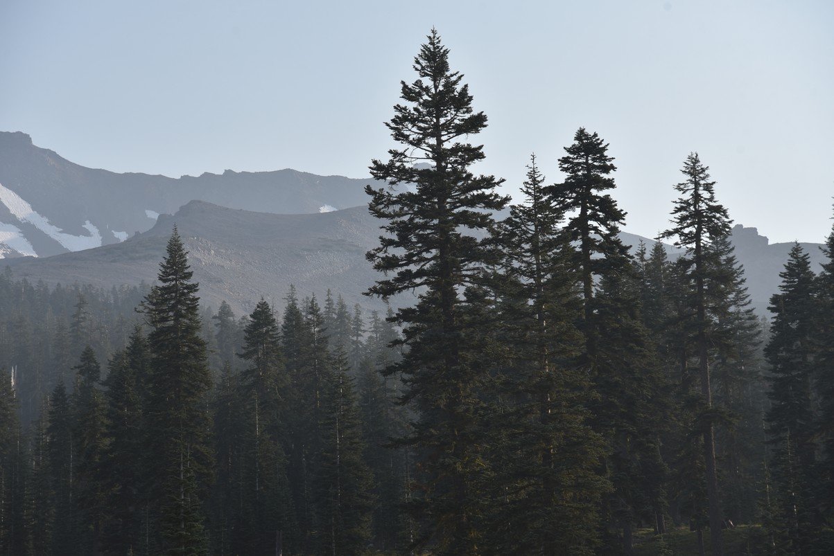 dsc_6828_fs.jpg