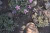 dsc_6857_fs_small.jpg
