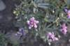 dsc_6858_fs_small.jpg