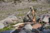 dsc_6860_fs_small.jpg