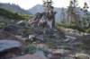dsc_6861_fs_small.jpg