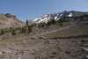 dsc_6867_fs_small.jpg