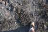 dsc_6868_fs_small.jpg