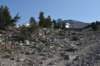 dsc_6870_fs_small.jpg