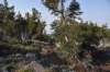 dsc_6874_fs_small.jpg