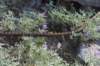 dsc_6876_fs_small.jpg