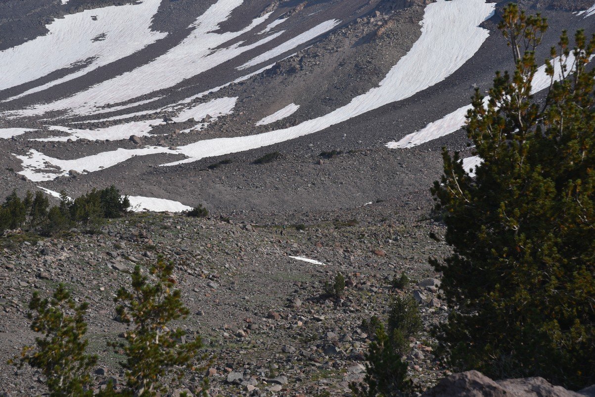 dsc_6877_fs.jpg