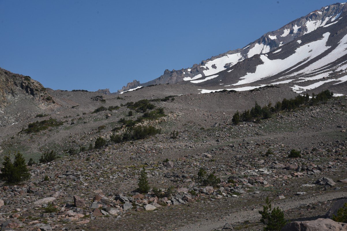 dsc_6884_fs.jpg