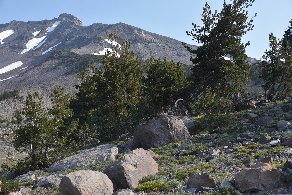 dsc_6887_fs.jpg