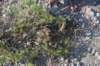 dsc_6901_fs_small.jpg