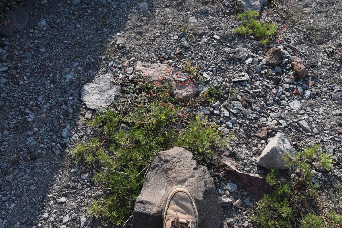dsc_6903_fs.jpg