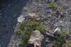 dsc_6903_fs_small.jpg