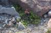 dsc_6905_fs_small.jpg
