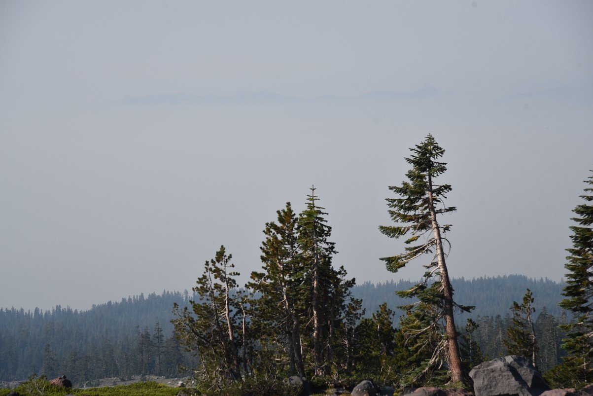 dsc_6906_fs.jpg
