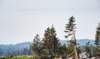 dsc_6906_fs_det_small.jpg