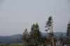 dsc_6906_fs_small.jpg