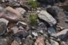 dsc_6909_fs_small.jpg