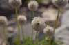 dsc_6910_fs_small.jpg