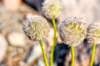 dsc_6911_fs_dram_small.jpg