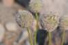 dsc_6911_fs_small.jpg