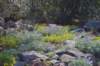 dsc_6913_fs_sat30_small.jpg