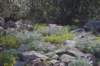 dsc_6913_fs_small.jpg