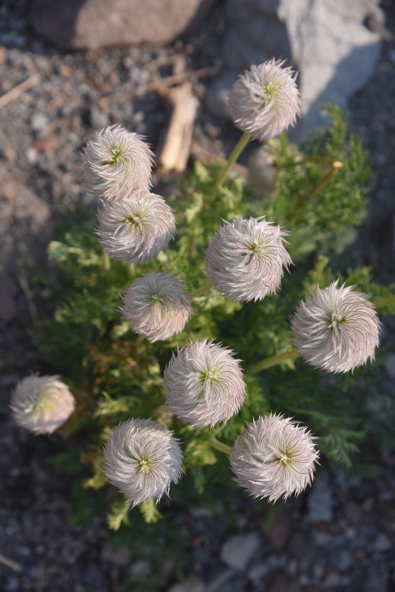 dsc_6914_fs.jpg