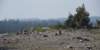 dsc_6918_fs_small.jpg