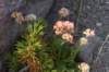 dsc_6919_fs_small.jpg