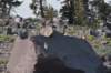 dsc_6920_fs_small.jpg
