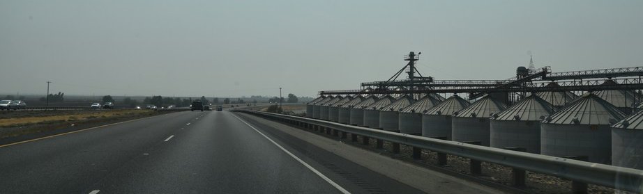 dsc_7010_fs.jpg