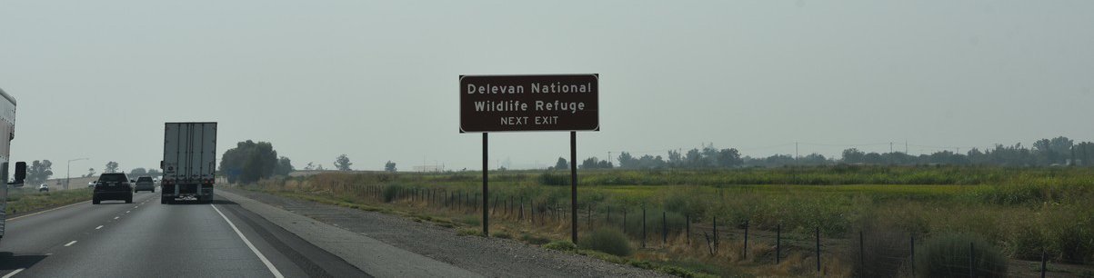 dsc_7012_fs.jpg