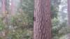 _172825_fs_small.jpg