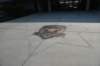 dsc_7243_fs_small.jpg