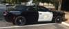 dsc_7250_fs_small.jpg