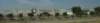 dsc_7259_fs_small.jpg