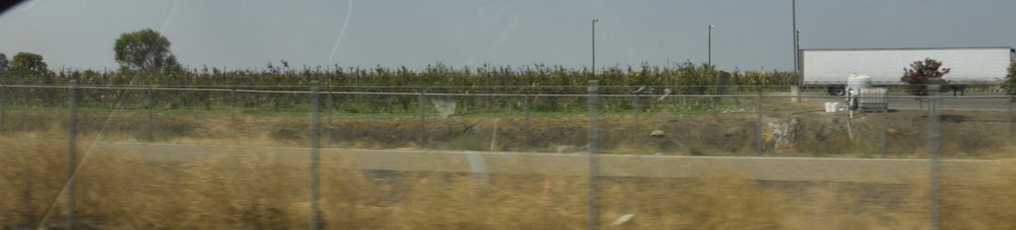 dsc_7261_fs.jpg