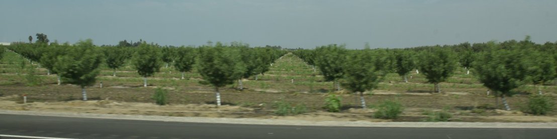 dsc_7285_fs.jpg