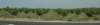 dsc_7285_fs_small.jpg