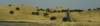 dsc_7333_fs_small.jpg