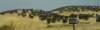 dsc_7335_fs_small.jpg