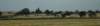 dsc_7338_fs_small.jpg