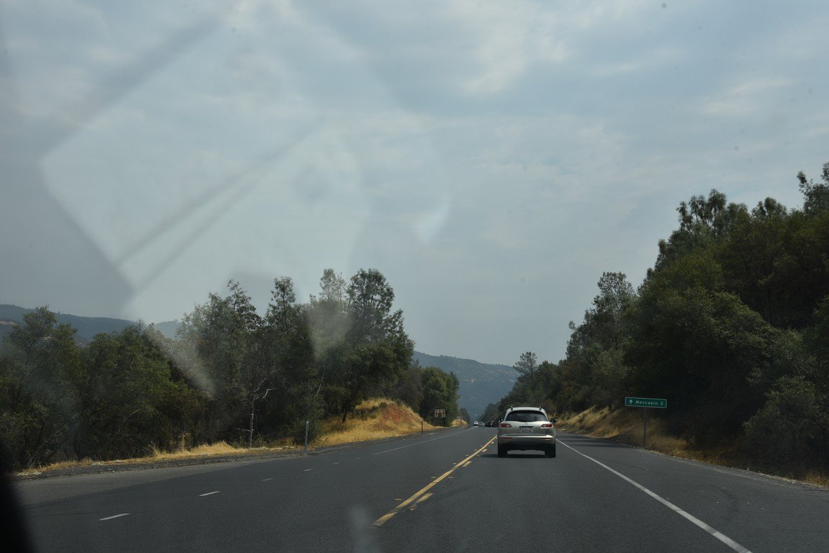 dsc_7369_fs.jpg
