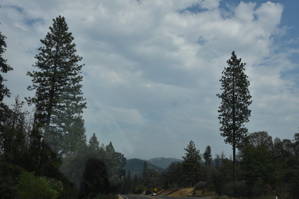 dsc_7467_fs.jpg