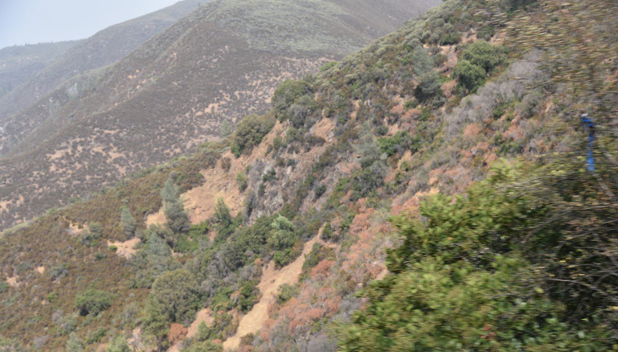 dsc_7474_fs.jpg