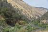dsc_7479_fs_small.jpg