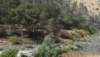 dsc_7480_fs_small.jpg