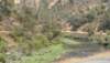 dsc_7481_fs_small.jpg